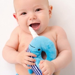 Zoocchini Willy the Whale Κουδουνίστρα για Νεογέννητα ZOO4004