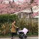 Minene Μουσελίνες Σετ των 3 (I love mommy) mn21382