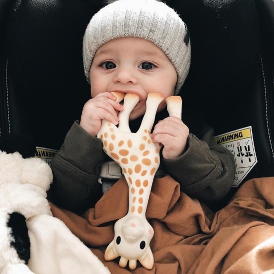 Sophie La Girafe So Pure Σετ Sophie & Μασητικός Δακτύλιος 2 Τεμάχια S616624