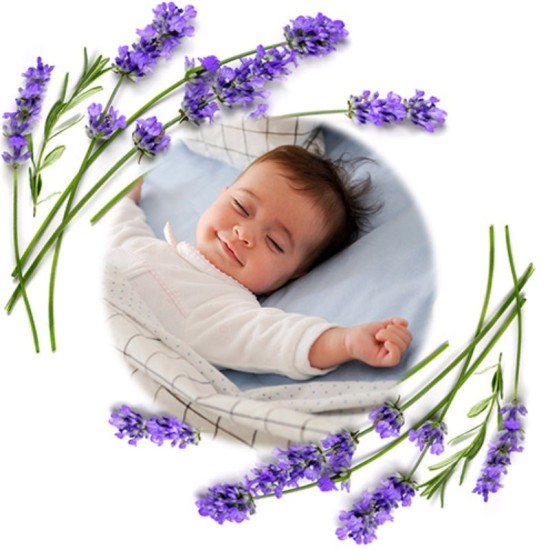 Babyono Φυσική θερμοφόρα με κουκούτσια από κεράσια και λεβάντα για κολικούς- Grey BN796/02