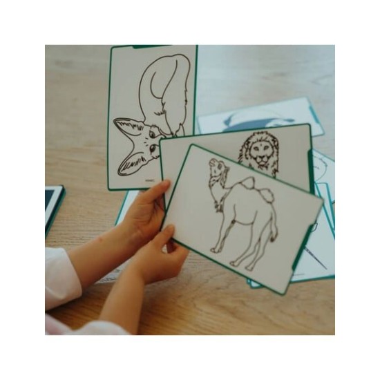 KIDYWOLF Tablet ζωγραφικής με οθόνη LCD (30 κάρτες) 5+ ετών -Animals Around The World KDW-182198