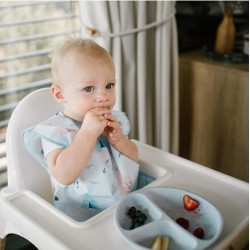 BabyOno Αδιάβροχη σαλιάρα με θήκη 2-4years -Raccoon BN1642/01