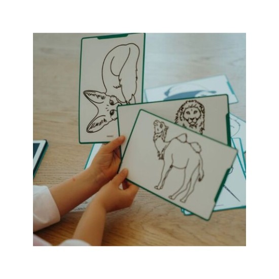 KIDYWOLF 60 κάρτες για τα Mini Tablet ζωγραφικής με θέμα "Animals Around the World" & "Oceans and Pirates" KDW-182365