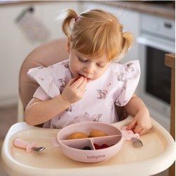 BabyOno Πιάτο σιλικόνης με 3 θέσεις, καπάκι & βάση με βεντούζα - Ροζ 6+m BN1661/02